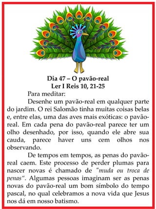 Dia 47 – O pavão-real
Ler I Reis 10, 21-25
Para meditar:
Desenhe um pavão-real em qualquer parte
do jardim. O rei Salomão tinha muitas coisas belas
e, entre elas, uma das aves mais exóticas: o pavão-
real. Em cada pena do pavão-real parece ter um
olho desenhado, por isso, quando ele abre sua
cauda, parece haver uns cem olhos nos
observando.
De tempos em tempos, as penas do pavão-
real caem. Este processo de perder plumas para
nascer novas é chamado de "muda ou troca de
penas“. Algumas pessoas imaginam ser as penas
novas do pavão-real um bom símbolo do tempo
pascal, no qual celebramos a nova vida que Jesus
nos dá em nosso batismo.
 