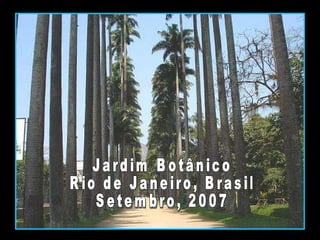 Jardim Botânico Rio de Janeiro, Brasil Setembro, 2007 