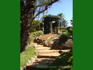 Cômoro Frei Leandro
 