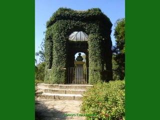 Cômoro Frei Leandro
 