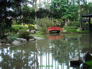 Jardim Japonês
 