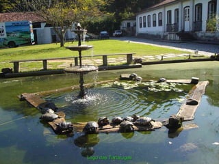 Lago das Tartarugas
 
