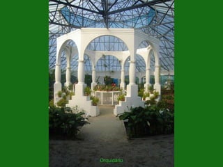 Orquidário
 