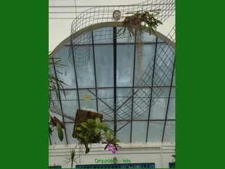 Orquidário - teto
 