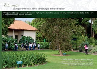 Educação

Educação ambiental para a conservação da ﬂora brasileira

O Programa de Educação Ambiental JBP tem como objetivo principal sensibilizar pessoas para a importância da conservação das plantas e para
o uso parcimonioso dos recursos ambientais.

O Jardim Botânico Plantarum é aberto à vistação
de quinta-feira a domingo e feriados, de 9 às 17h.
Visitas guiadas (escolares, técnicas e universitárias)
são realizadas mediante agendamento.

 