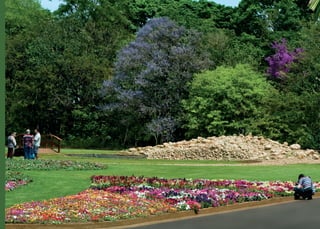 Jardim Botânico Plantarum apresentação