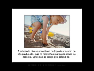 A sabedoria não se encontrava no topo de um curso de
pós-graduação, mas no montinho de areia da escola de
     todo dia. Estas são as coisas que aprendi lá:


         tempo de germinar         karin izumi
 