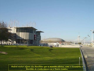 Poderá visitar alguns dos Pavilhões que se mantêm abertos, como o Oceanário, o Pavilhão do Conhecimento ou o Teatro Camões. 