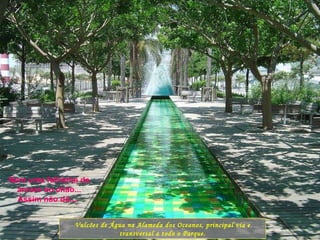 Vulcões de Água na Alameda dos Oceanos, principal via e transversal a todo o Parque. Nem uma folhinha de árvore no chão... Assim não dá....  