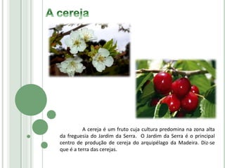 A cereja é um fruto cuja cultura predomina na zona alta
da freguesia do Jardim da Serra. O Jardim da Serra é o principal
centro de produção de cereja do arquipélago da Madeira. Diz-se
que é a terra das cerejas.
 