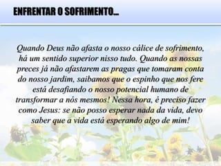 ENFRENTAR O SOFRIMENTO...
Quando Deus não afasta o nosso cálice de sofrimento,
há um sentido superior nisso tudo. Quando as nossas
preces já não afastarem as pragas que tomaram conta
do nosso jardim, saibamos que o espinho que nos fere
está desafiando o nosso potencial humano de
transformar a nós mesmos! Nessa hora, é preciso fazer
como Jesus: se não posso esperar nada da vida, devo
saber que a vida está esperando algo de mim!
 