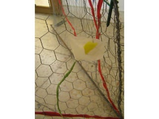 Jardim dos Afetos II