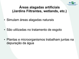 Áreas alagadas artificiais
(Jardins Filtrantes, wetlands, etc.)
• Simulam áreas alagadas naturais
• São utilizadas no tratamento de esgoto
• Plantas e microorganismos trabalham juntas na
depuração da água
 