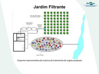 Jardim Filtrante
Esquema representativo do sistema de tratamento de esgoto proposto.
 