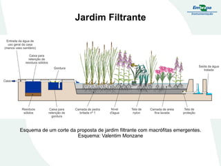 Jardim Filtrante
Esquema de um corte da proposta de jardim filtrante com macrófitas emergentes.
Esquema: Valentim Monzane
 