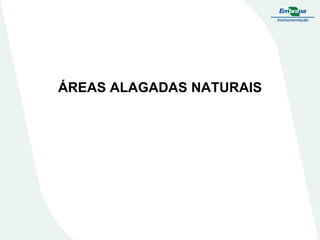ÁREAS ALAGADAS NATURAIS
 