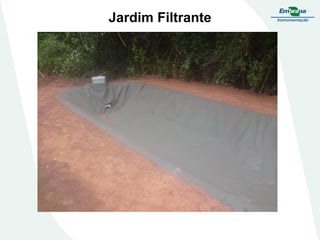 Jardim Filtrante
 
