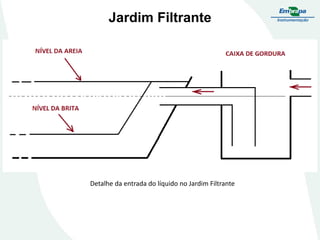 Jardim Filtrante
Detalhe da entrada do líquido no Jardim Filtrante
 