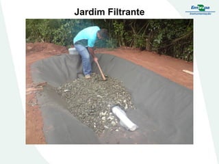 Jardim Filtrante
 
