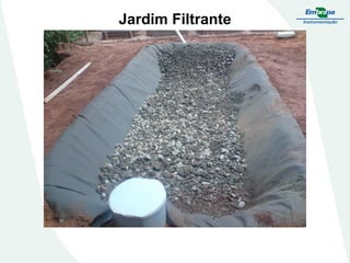 Jardim Filtrante
 