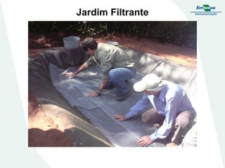 Jardim Filtrante
 