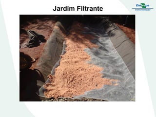Jardim Filtrante
 