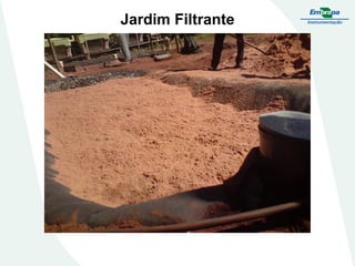Jardim Filtrante
 
