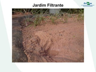 Jardim Filtrante
 