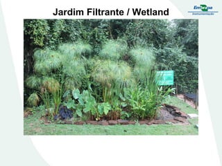 Jardim Filtrante / Wetland
 