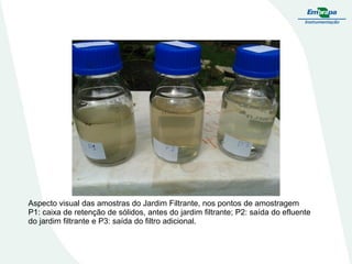 Aspecto visual das amostras do Jardim Filtrante, nos pontos de amostragem
P1: caixa de retenção de sólidos, antes do jardim filtrante; P2: saída do efluente
do jardim filtrante e P3: saída do filtro adicional.
 