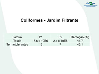 Jardim P1 P2 Remoção (%)
Totais 3,6 x 10E6 2,1 x 10E6 41,7
Termotolerantes 13 7 46,1
Coliformes - Jardim Filtrante
 