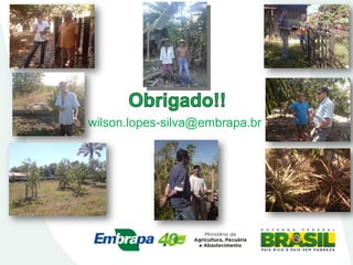 wilson.lopes-silva@embrapa.br
 