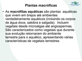 Plantas macróficas
• As macrófitas aquáticas são plantas aquáticas
que vivem em brejos até ambientes
verdadeiramente aquáticos (incluindo os corpos
de água doce, salobra e salgada). Incluem
vegetais desde microalgas até angiospermas.
São caracterizados como vegetais que durante
sua evolução retornaram do ambiente
terrestre para o aquático, apresentando várias
características de vegetais terrestres
 