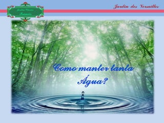 Jardin des Versailles
Jardim Clássico
 Francês
 