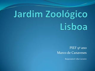 Jardim ZoológicoLisboa PIEF 9º ano  Marco de Canaveses Responsável: Lília Carneiro 