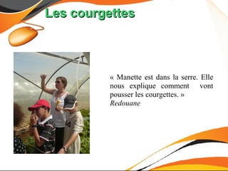 Les courgettes



          « Manette est dans la serre. Elle
          nous explique comment vont
          pousser les courgettes. »
          Redouane
 