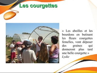 Les courgettes



                 « Les abeilles et les
                 bourdons en butinant
                 les fleurs courgettes
                 femelles, vont déposer
                 des     graines      qui
                 donneront plus tard
                 une belle courgette »
                 Lydie
 