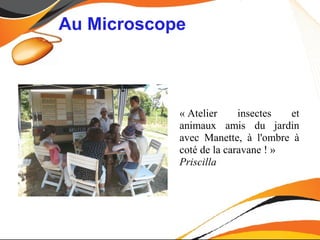 Au Microscope



            « Atelier     insectes  et
            animaux amis du jardin
            avec Manette, à l'ombre à
            coté de la caravane ! »
            Priscilla
 