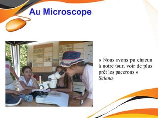 Au Microscope




                « Nous avons pu chacun
                à notre tour, voir de plus
                prêt les pucerons »
                Selena
 