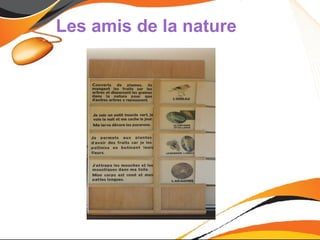 Les amis de la nature
 