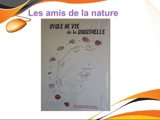 Les amis de la nature
 