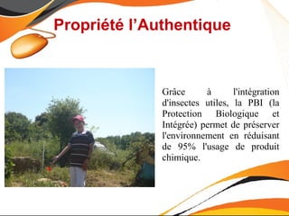 Propriété l’Authentique



              Grâce      à       l'intégration
              d'insectes utiles, la PBI (la
              Protection Biologique et
              Intégrée) permet de préserver
              l'environnement en réduisant
              de 95% l'usage de produit
              chimique.
 