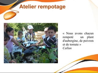 Atelier rempotage



               « Nous avons chacun
               rempoté       un plant
               d'aubergine, de poivron
               et de tomate »
               Callan
 