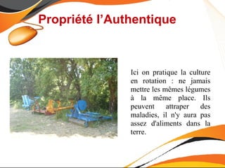 Propriété l’Authentique



               Ici on pratique la culture
               en rotation : ne jamais
               mettre les mêmes légumes
               à la même place. Ils
               peuvent     attraper   des
               maladies, il n'y aura pas
               assez d'aliments dans la
               terre.
 