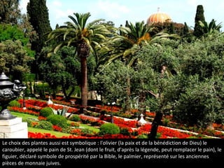 Le choix des plantes aussi est symbolique : l'olivier (la paix et de la bénédiction de Dieu) le
caroubier, appelé le pain de St. Jean (dont le fruit, d'après la légende, peut remplacer le pain), le
figuier, déclaré symbole de prospérité par la Bible, le palmier, représenté sur les anciennes
pièces de monnaie juives.
 