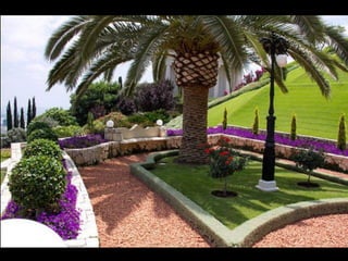 Jardin1