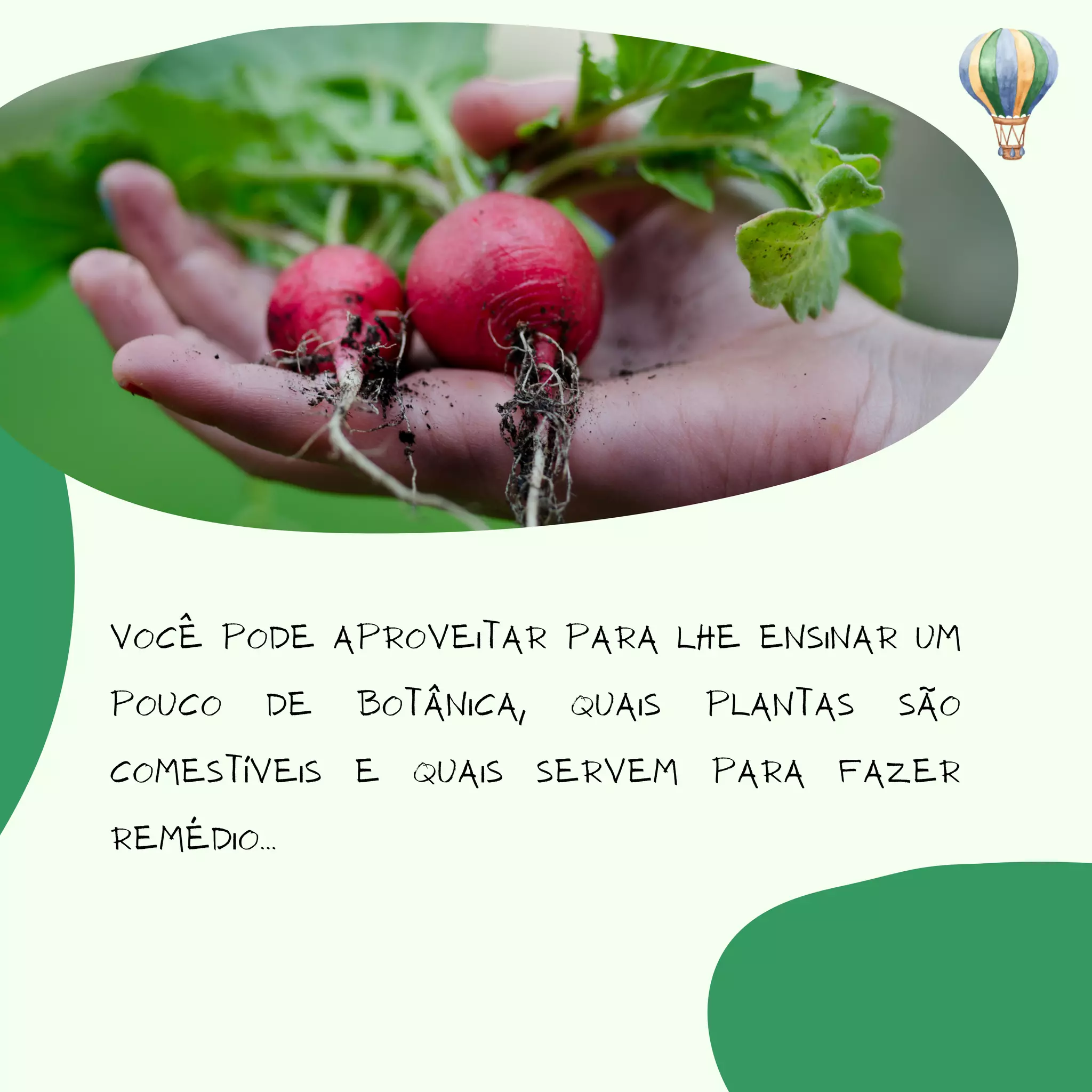 Você pode aproveitar para lhe ensinar um
pouco de botânica, quais plantas são
comestíveis e quais servem para fazer
remédio...