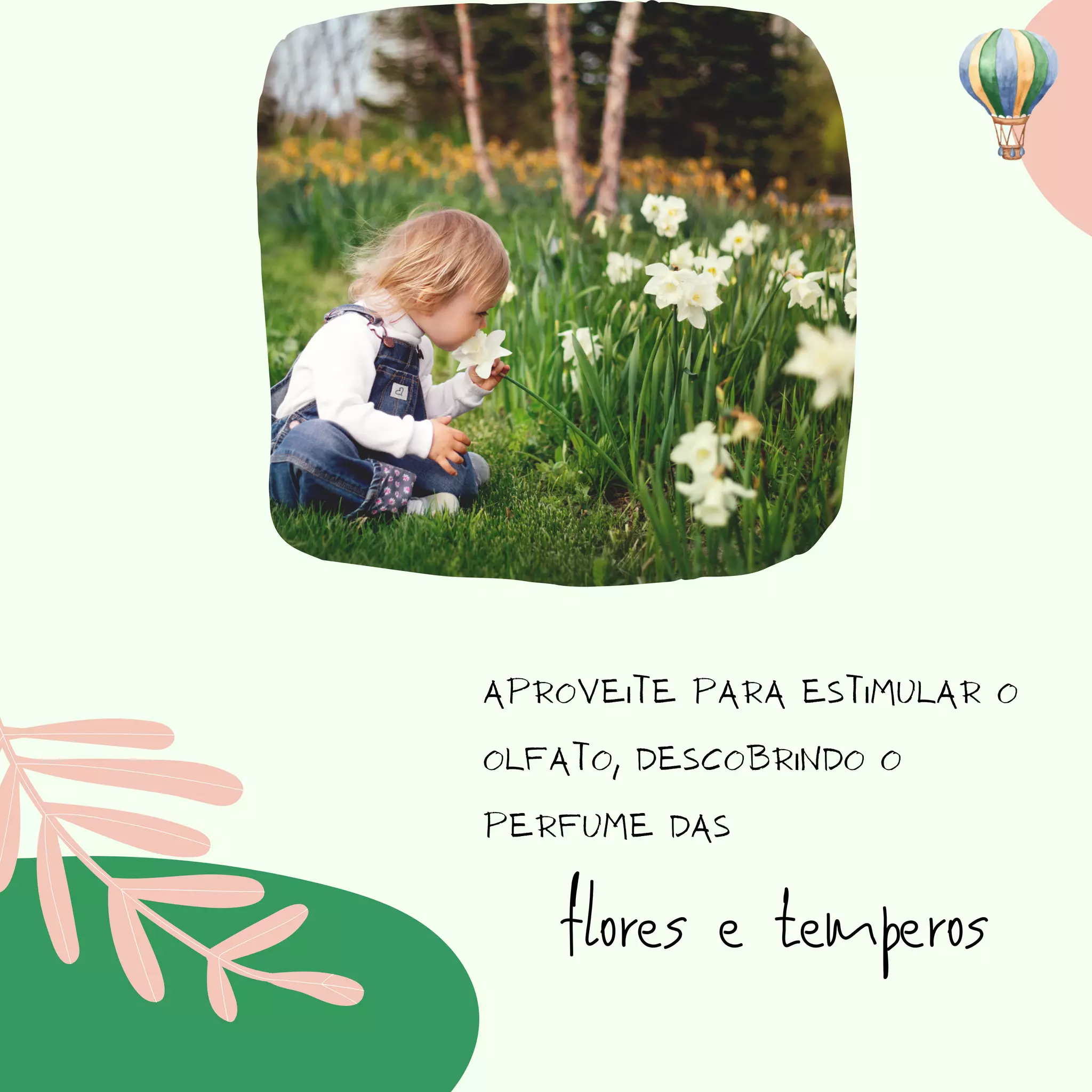 Aproveite para estimular o
olfato, descobrindo o
perfume das
flores e temperos