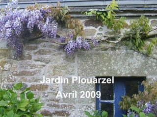 Jardin Plouarzel Avril 2009 