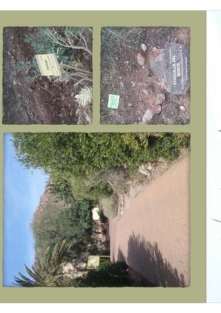 Jardín botánico abril 1°b